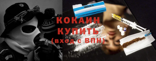 молекула духа Ладушкин