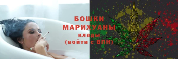 молекула духа Ладушкин