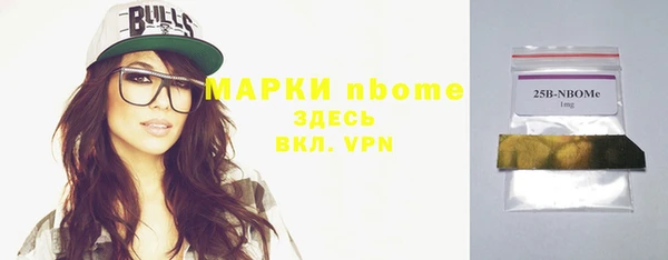 молекула духа Ладушкин