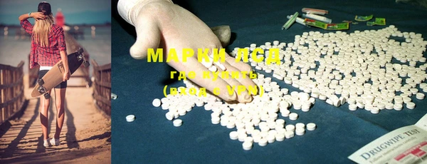 молекула духа Ладушкин