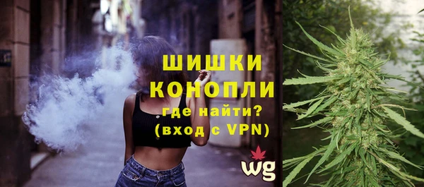 молекула духа Ладушкин