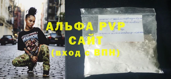 молекула духа Ладушкин
