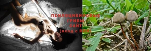 молекула духа Ладушкин