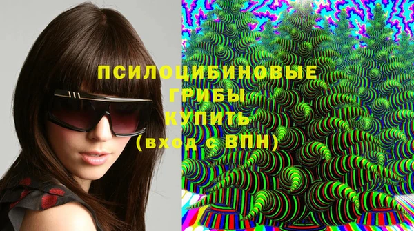 молекула духа Ладушкин