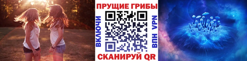 Галлюциногенные грибы Cubensis  Ахтырский 